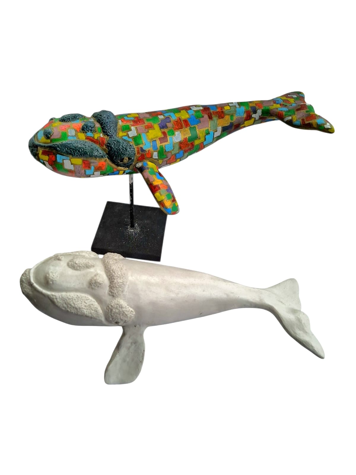 Baby Whale - Image 3