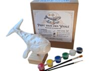 Premium Sculpted Kit